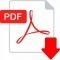 PDF_icon