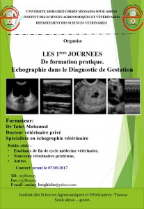 formation echographie