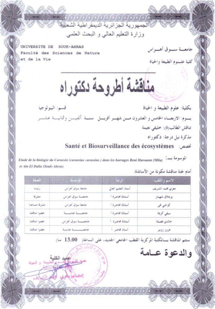 khelifi naima
