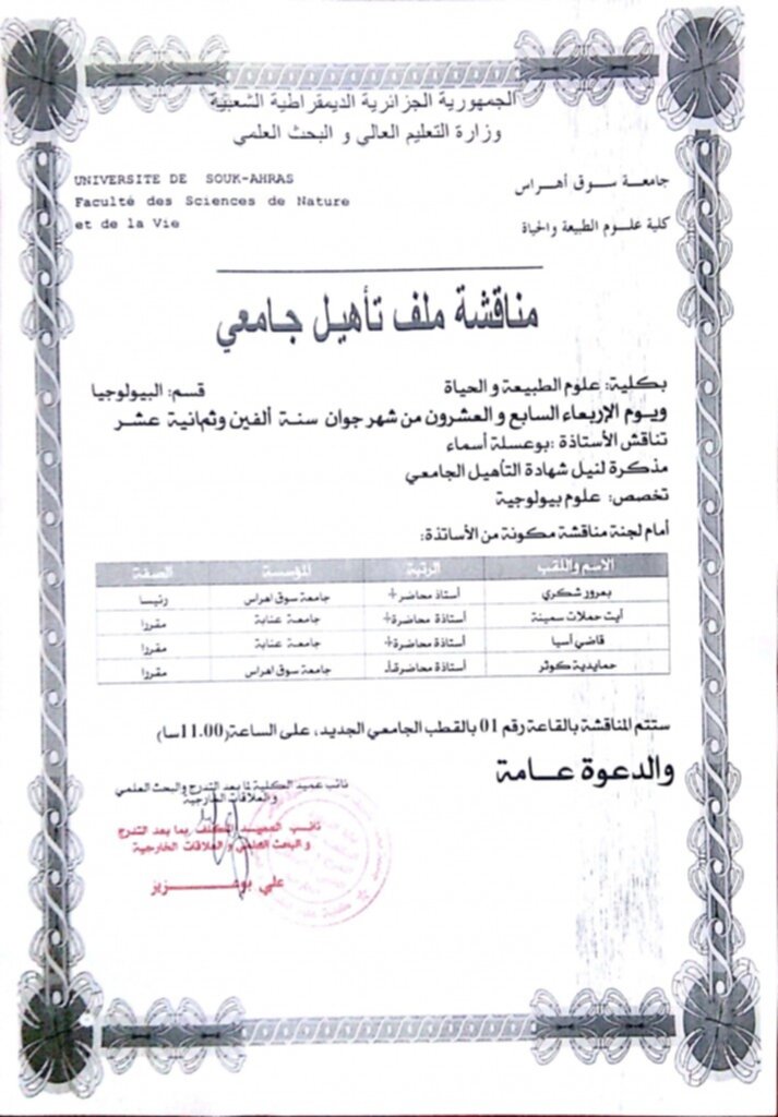 بو عسلة