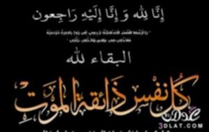 3dlat.net_31_16_1a15_17b89828afe21