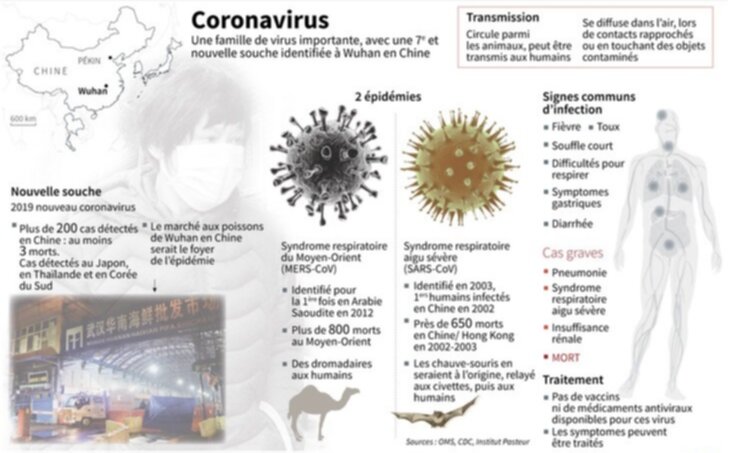 Coronavirus_1_730_456 - Copie